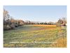0 Reliance Rd./Carolyn Ave photo
